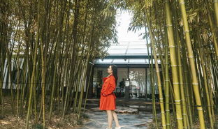 小姐姐打卡茶园,小姐姐的清新时光记录